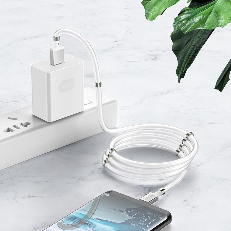 HOCO U91 Magic Magnetic USB to Type-C Charging Cable (1 Meter)