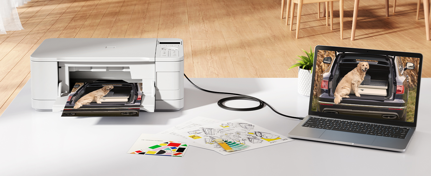 UGREEN 10351 USB A to USB B High-Speed Printer Cord (3 Meter) Buy UGREEN 10351 USB A to USB B High-Speed Printer Cord (3 Meter) Online in Pakistan - UGREEN PK