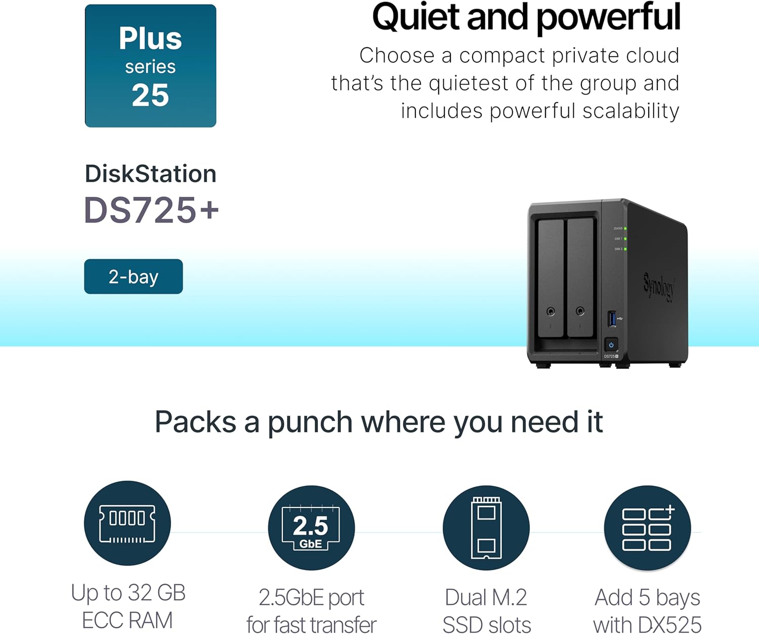 SYNOLOGY DS725+ 2-Bay NAS 2.5GbE Expandable Storage - UGREEN PK